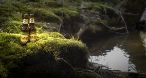 Wild Boy Creek02