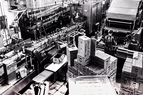 Bottling Line from Mesonine