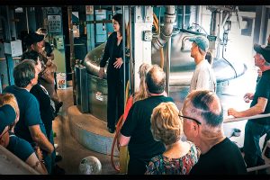 beer brewery tour