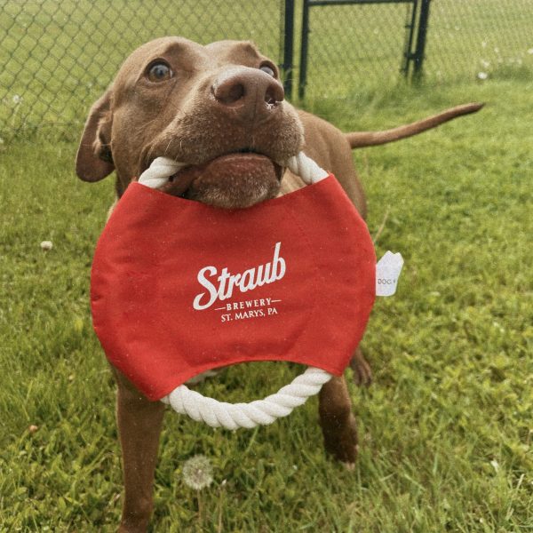 Dog Rope Toy - Image 2