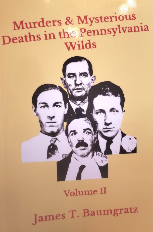 Murders & Mysterious Deaths in the Pennsylvania Wilds Volume II